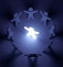 Organization development workshops