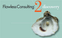 Flawless Consulting Training